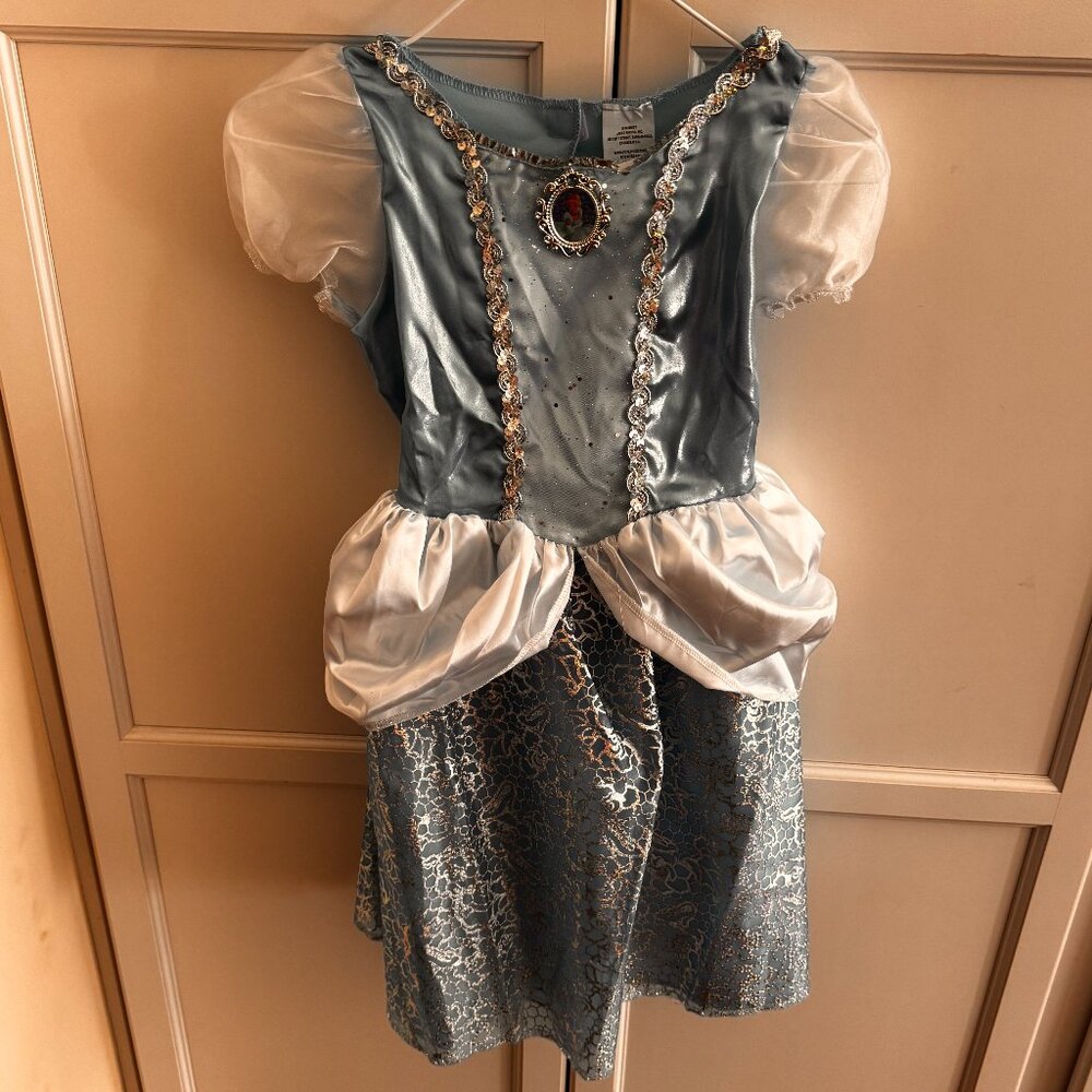 Cinderella Dress Up Dress